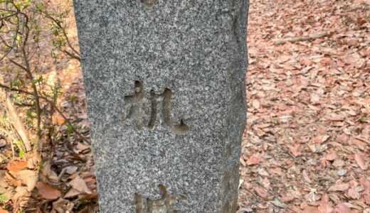 【神奈川】小机城（小机城址市民の森）