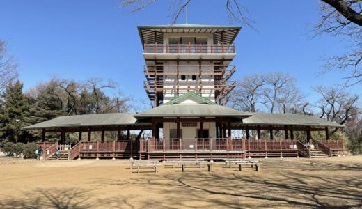【神奈川】枡形城（枡形山展望台・生田緑地）