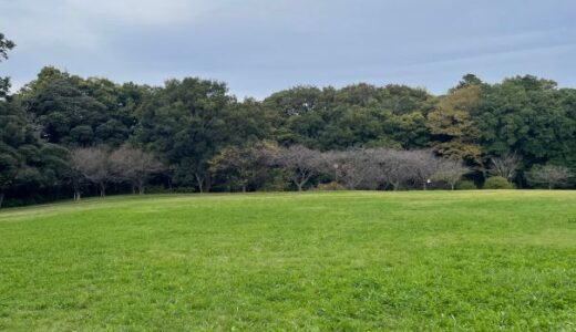 【千葉】臼井城（臼井城址公園）